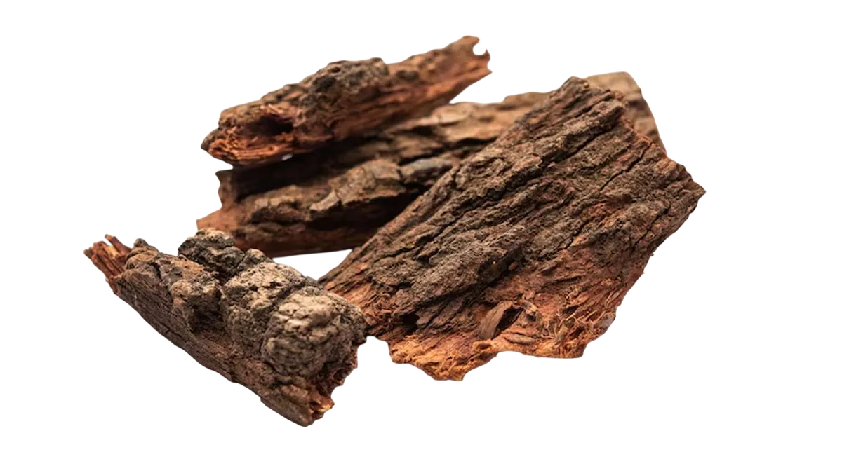 🌿 Ayurvedic Wooden Glass™ With FREE BONUS EBOOK INCLUDED