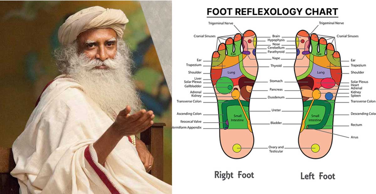 Detox Foot Patch 20 Piece